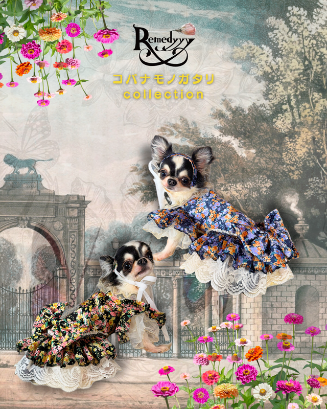 レメディーRemedyyy ♡バラトミルフィーユcollection Remedyyy公式通販