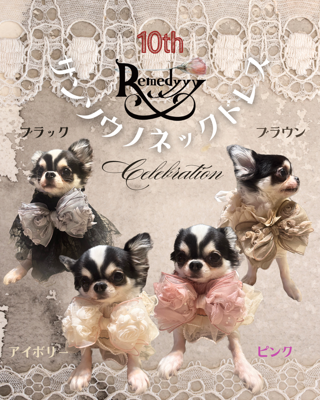 オシャマタアトル・フリルマミレのドッグウェアRemedyyy | Remedyyy