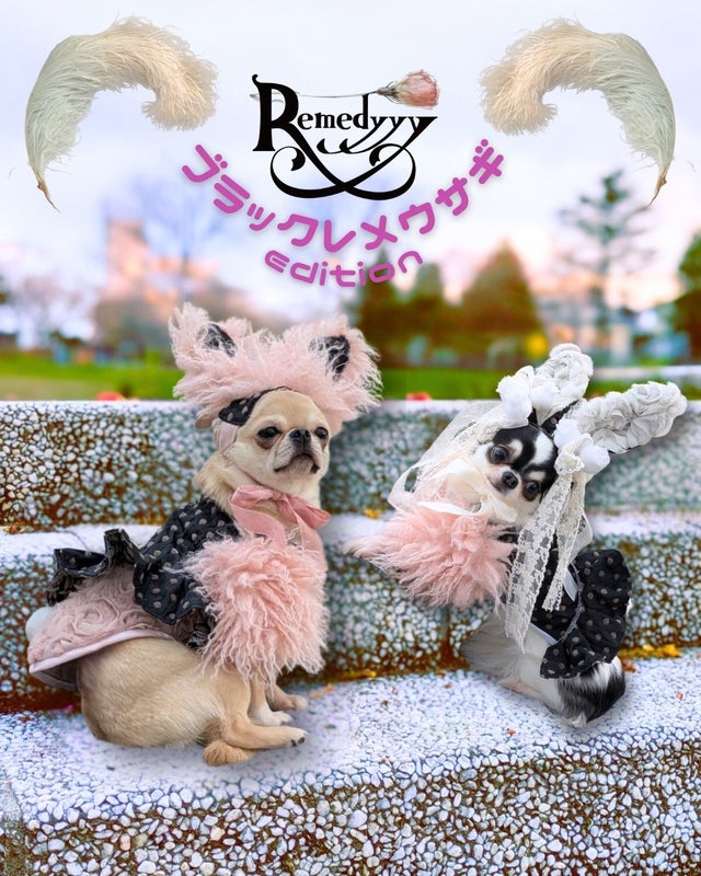 レメディーRemedyyy ♡バラトミルフィーユcollection Remedyyy公式通販
